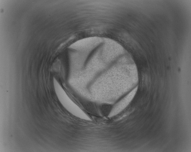 X0000081391250200702020246