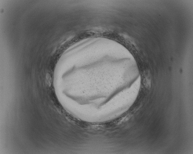 X0000081391253200702020246