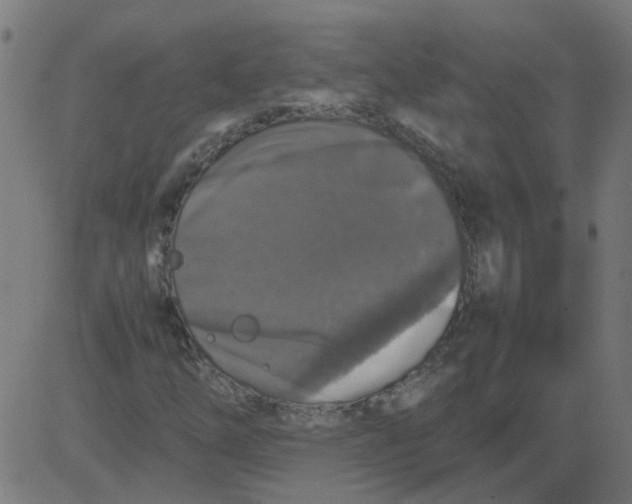 X0000081391254200702020246