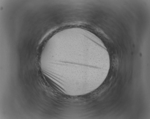 X0000081391256200702020246