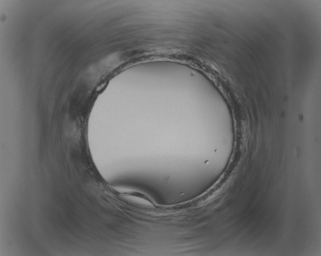 X0000081391257200702020246