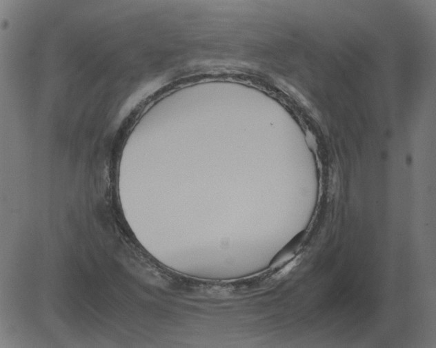 X0000081391261200702020246