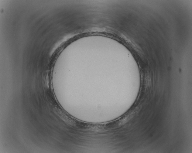 X0000081391262200702020246