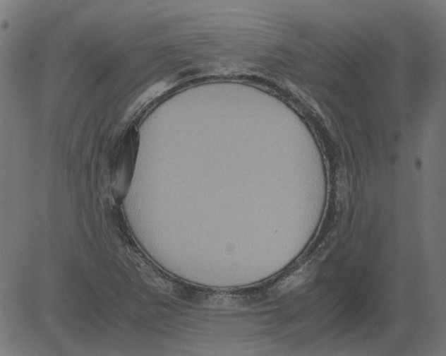 X0000081391265200702020246