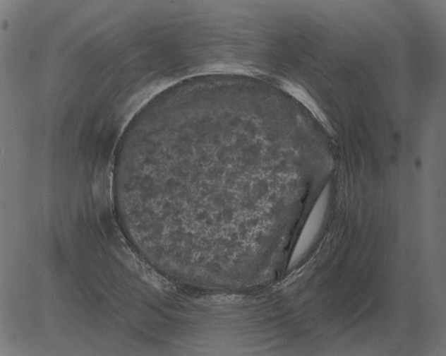 X0000081391268200702020246