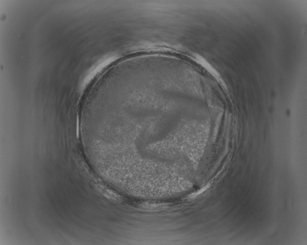 X0000081391269200702020246