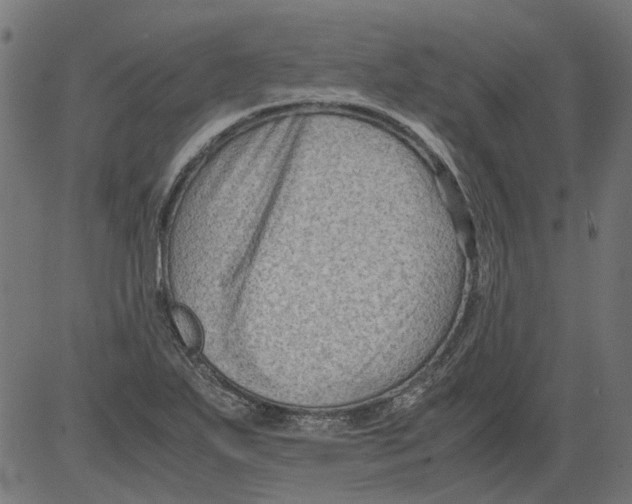 X0000081391271200702020246