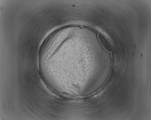 X0000081391272200702020246