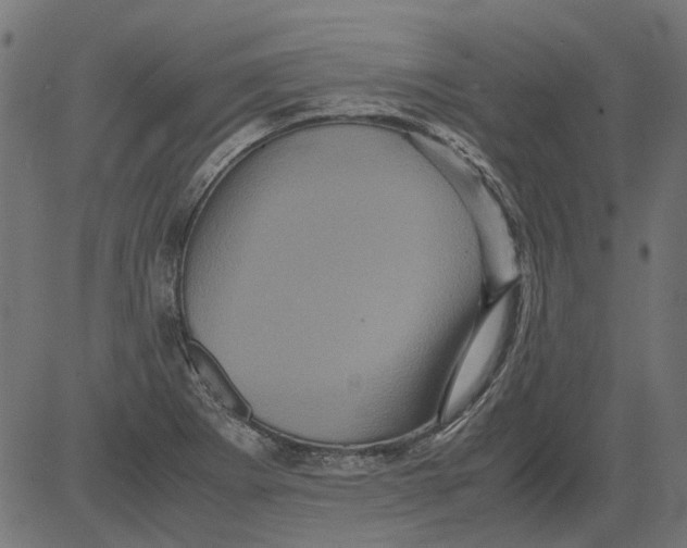 X0000081391273200702020246