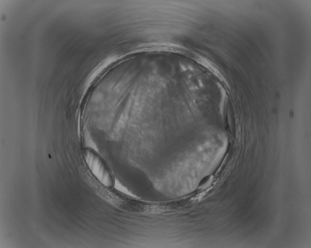 X0000081391275200702020246