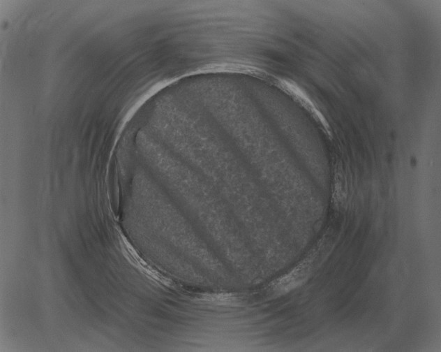 X0000081391276200702020246