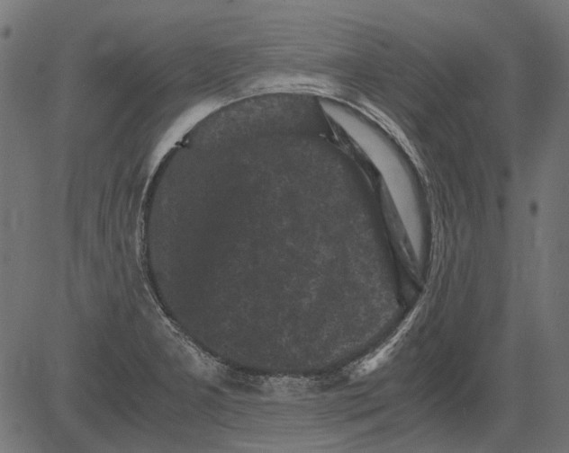 X0000081391277200702020246