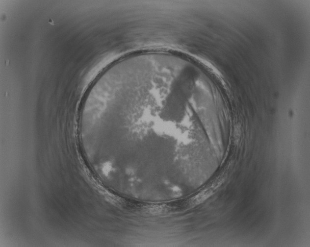 X0000081391279200702020246