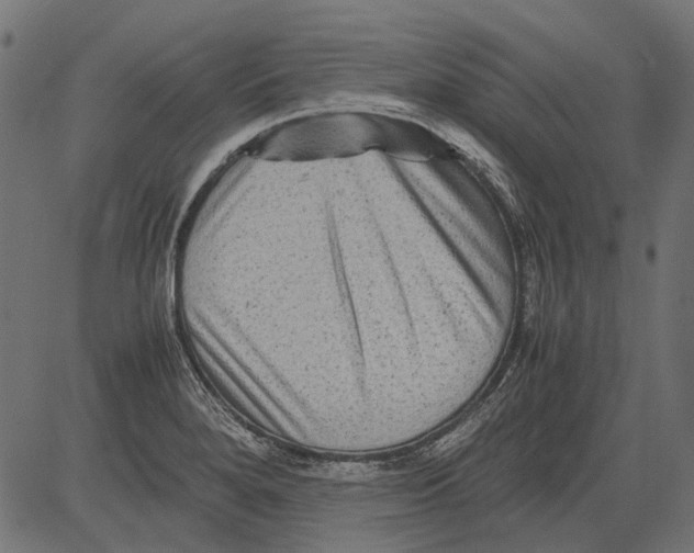 X0000081391280200702020246