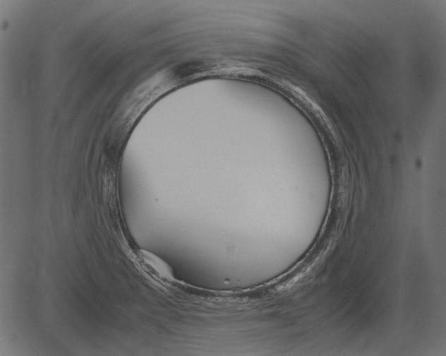 X0000081391281200702020246