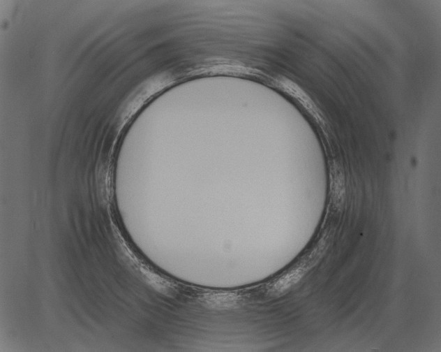 X0000081391282200702020246