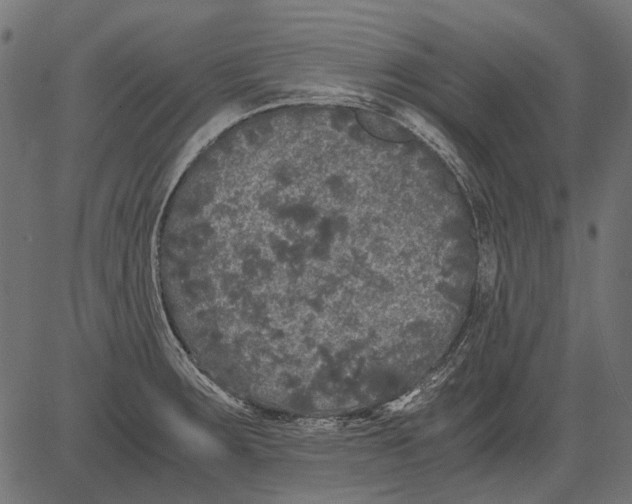 X0000081391283200702020246