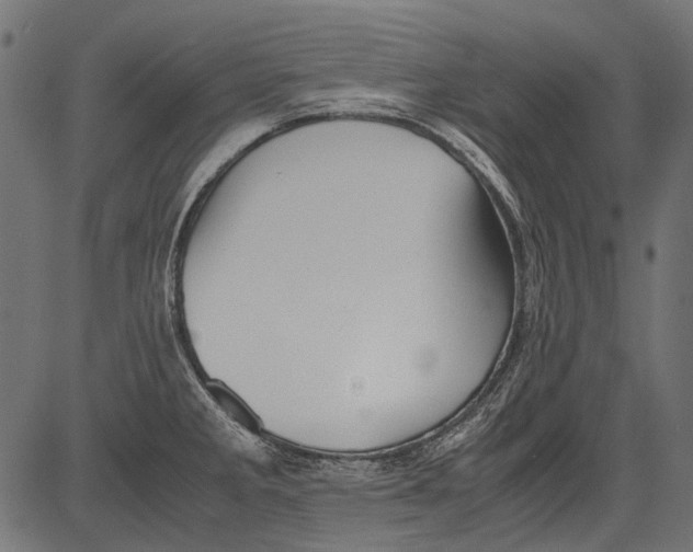 X0000081391285200702020246