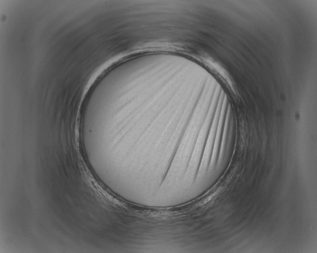 X0000081391288200702020246