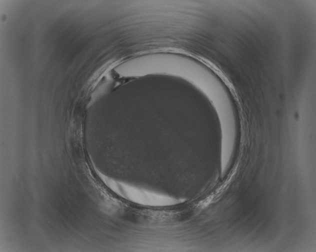 X0000081391289200702020246