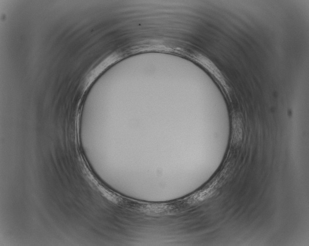 X0000081391290200702020246