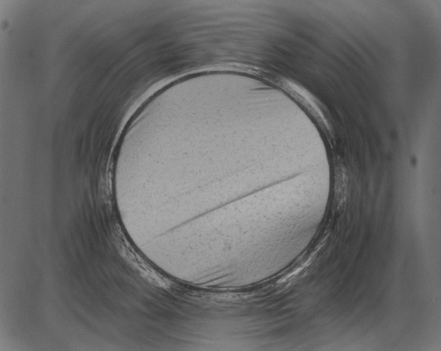 X0000081391292200702020246