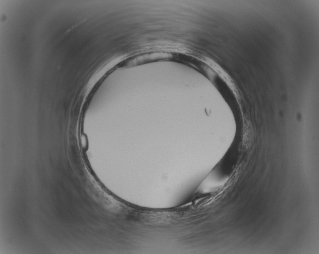 X0000081391293200702020246