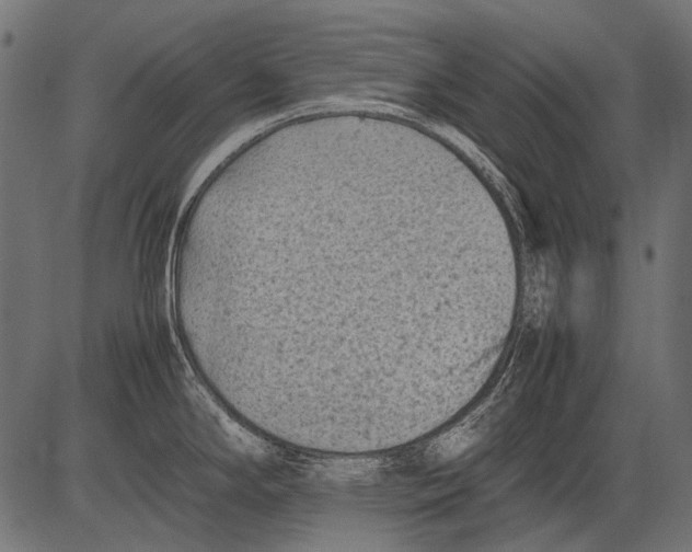 X0000081391294200702020246