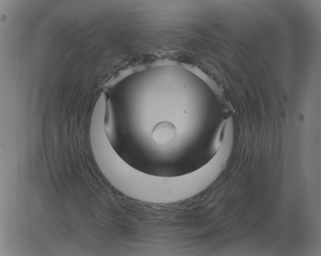 X0000081391298200702020245