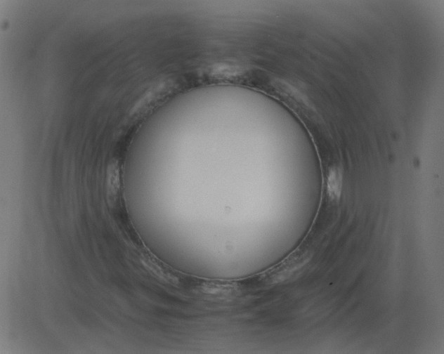 X0000081391299200702020245