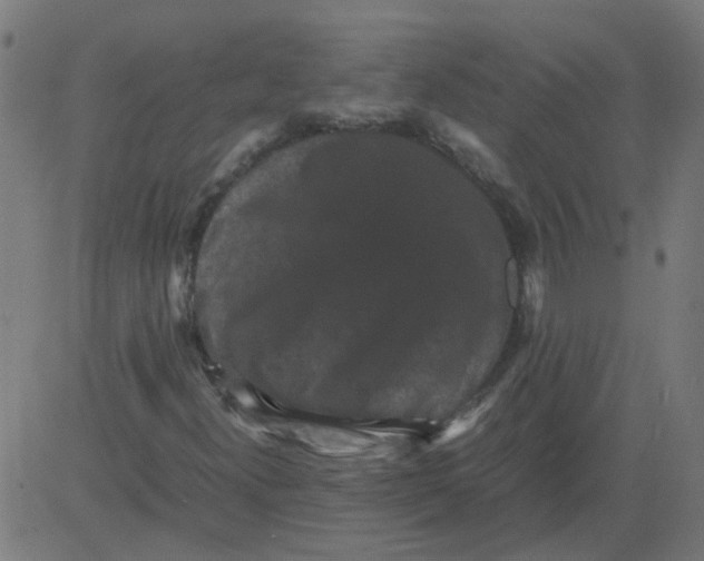 X0000081391300200702020245