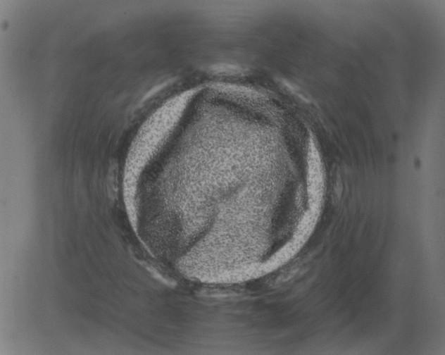 X0000081391301200702020245