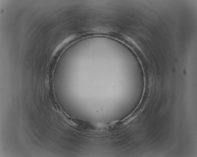 X0000081391307200702020245