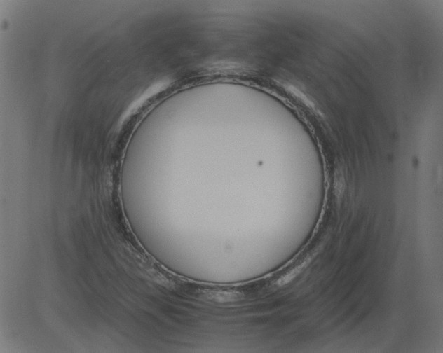 X0000081391309200702020245