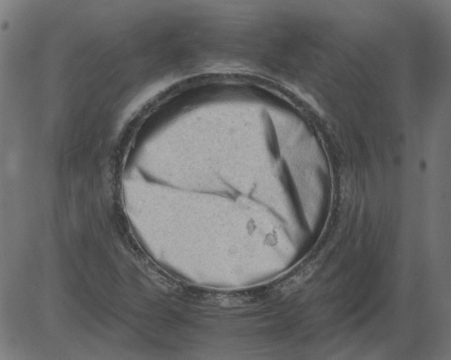 X0000081391311200702020245