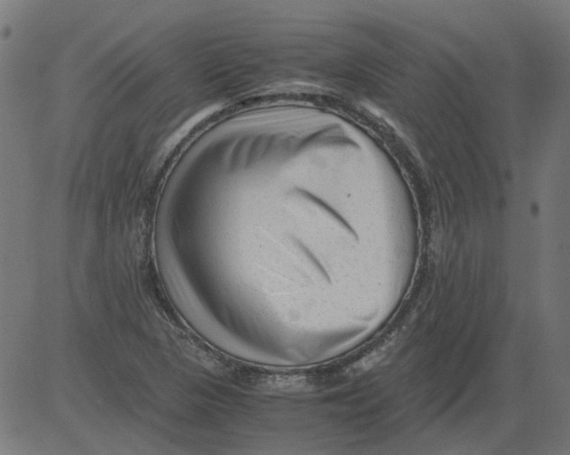 X0000081391313200702020245