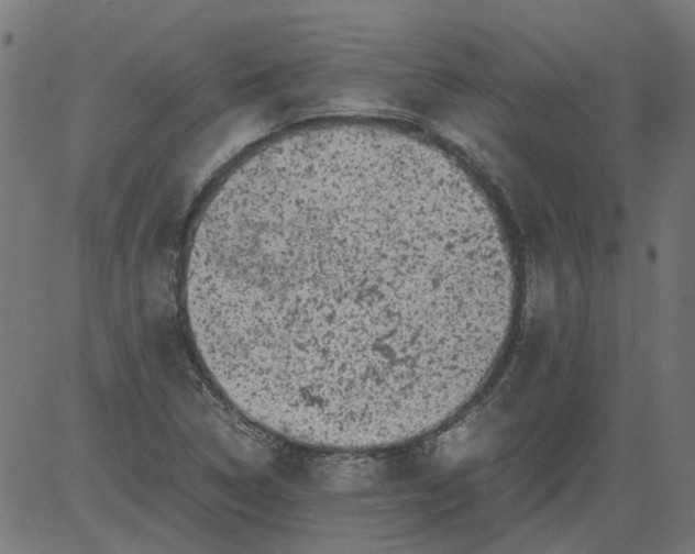 X0000081391314200702020245