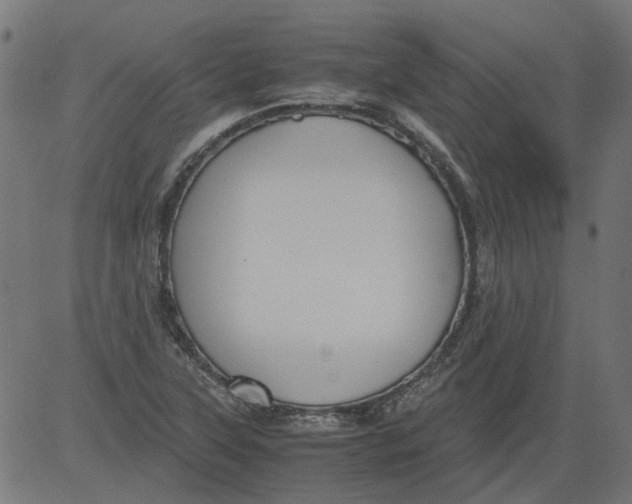 X0000081391315200702020245