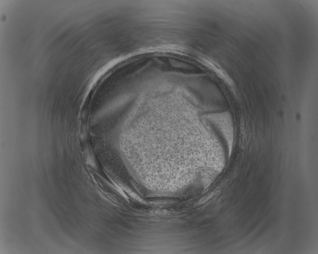 X0000081391316200702020245