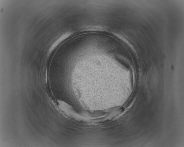 X0000081391317200702020245