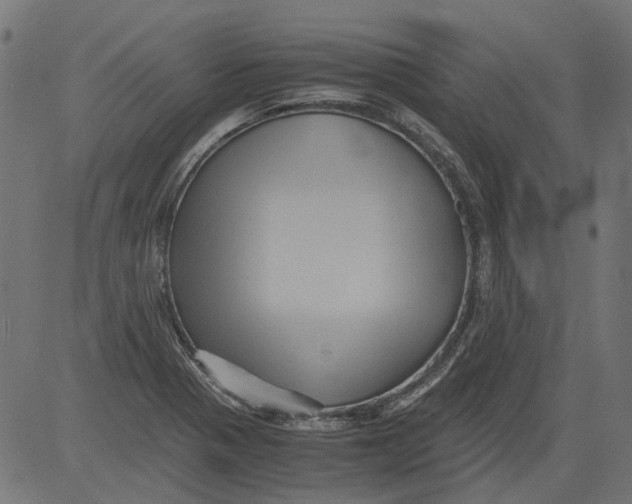 X0000081391321200702020245