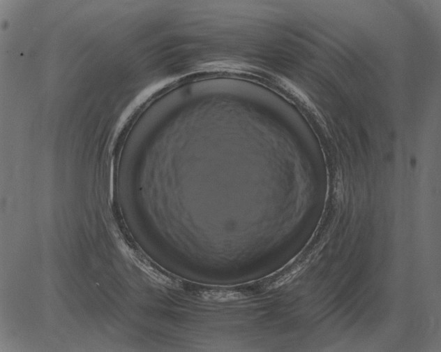 X0000081391323200702020245