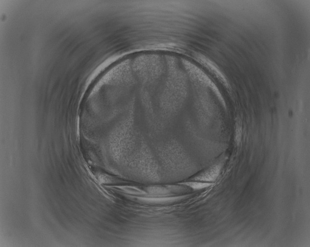 X0000081391324200702020245