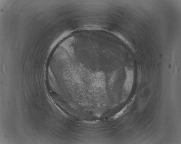 X0000081391325200702020245