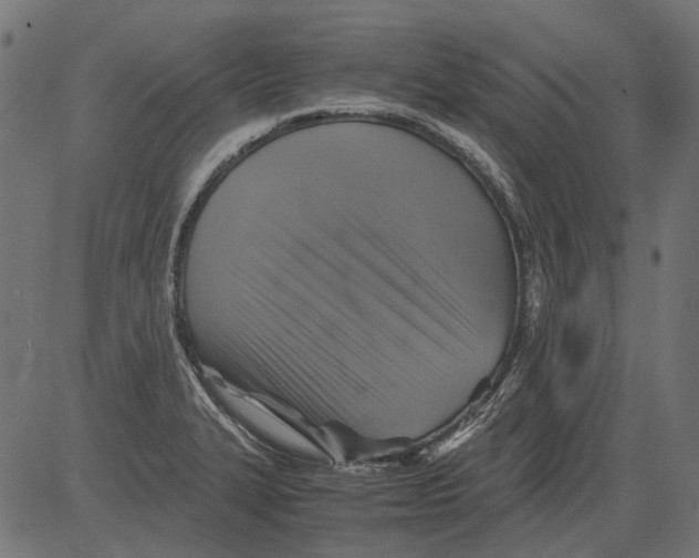 X0000081391327200702020245