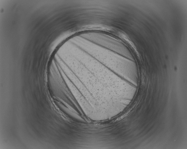 X0000081391328200702020245