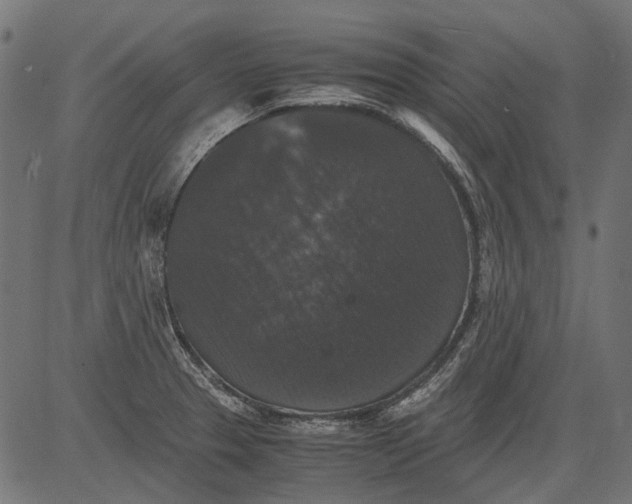 X0000081391329200702020245