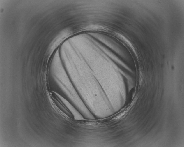 X0000081391330200702020245