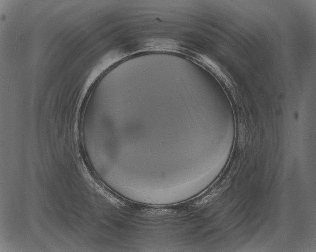 X0000081391331200702020245