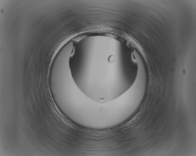 X0000081391332200702020246